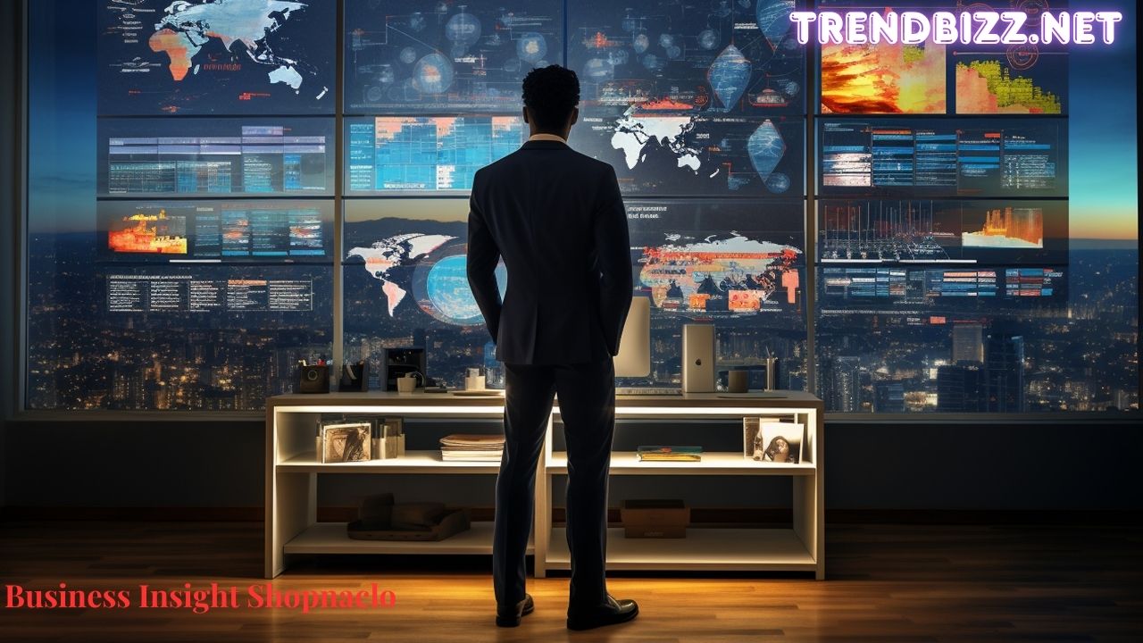 Business Insight Shopnaclo